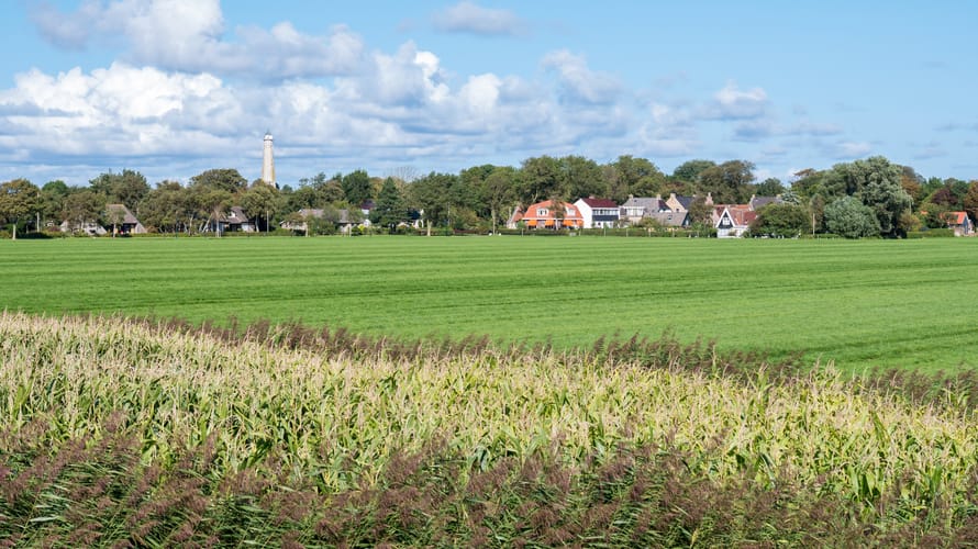 Polder Schiermonnikoog Polder Schiermonnikoog
