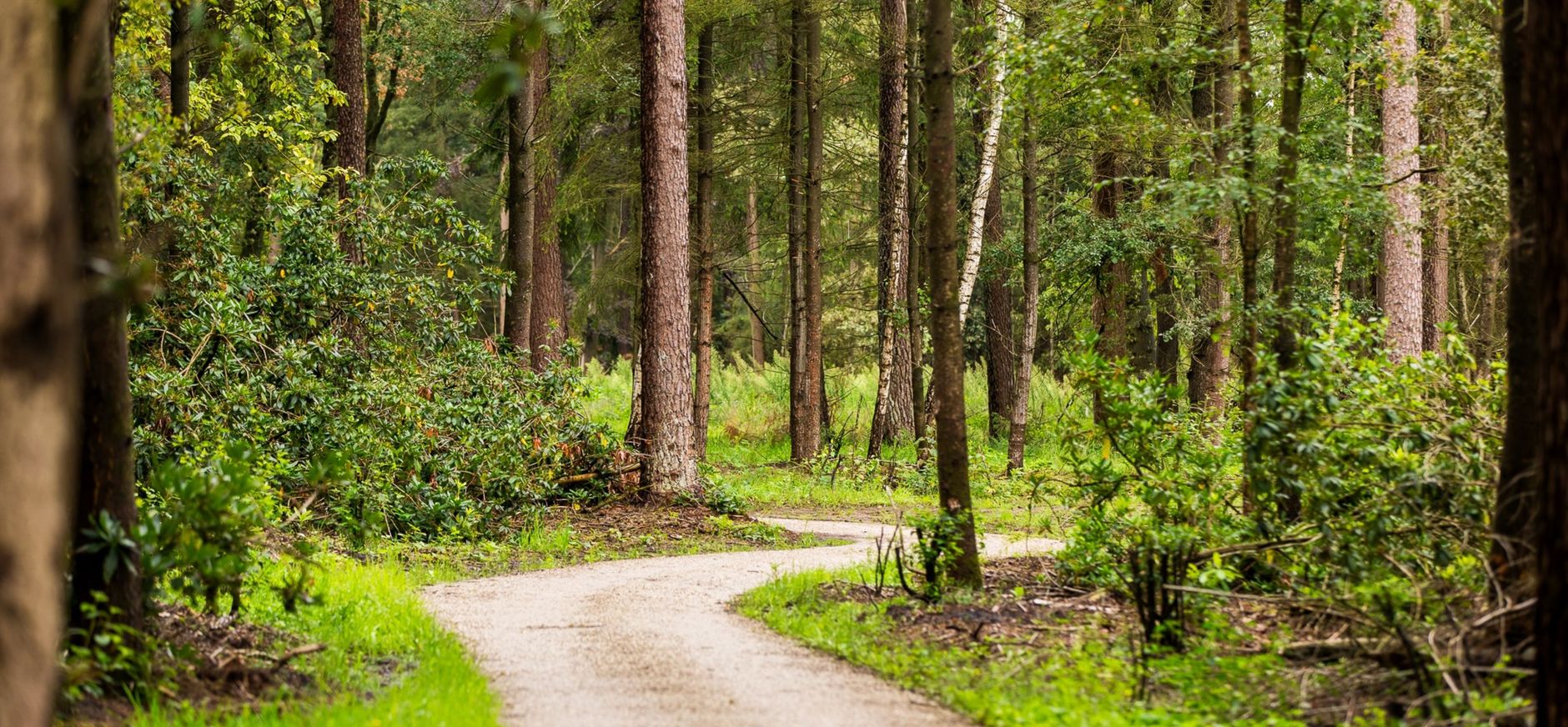 Impressie natuurbegraafplaats