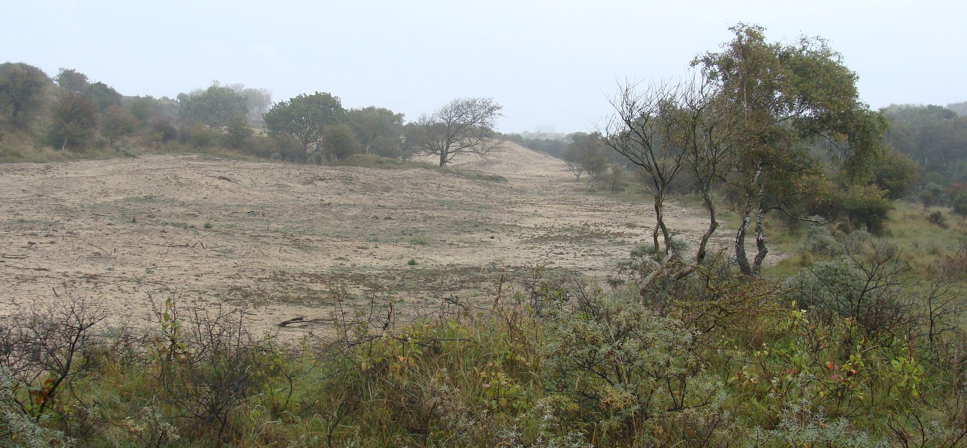 geplagde duinvallei in Duin en Kruidberg