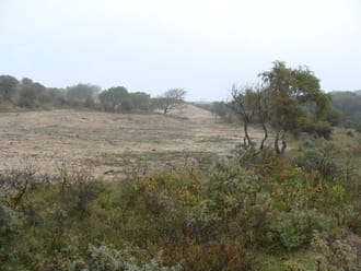 geplagde duinvallei in Duin en Kruidberg