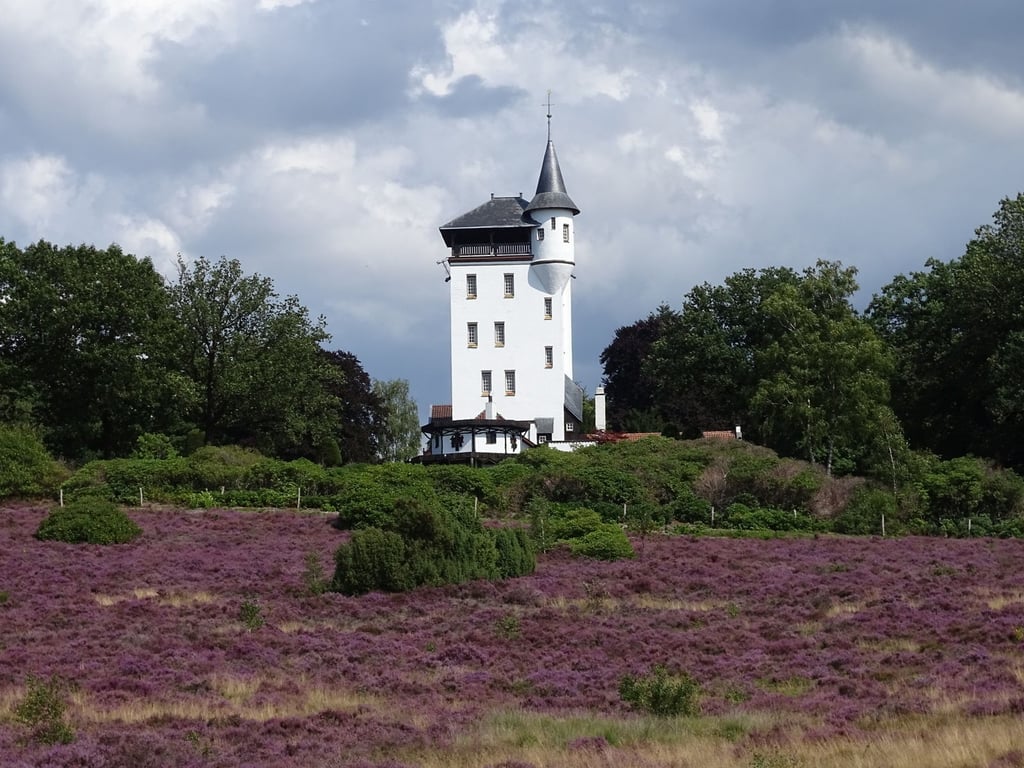 Op stap met de boswachter op de Sprengenberg