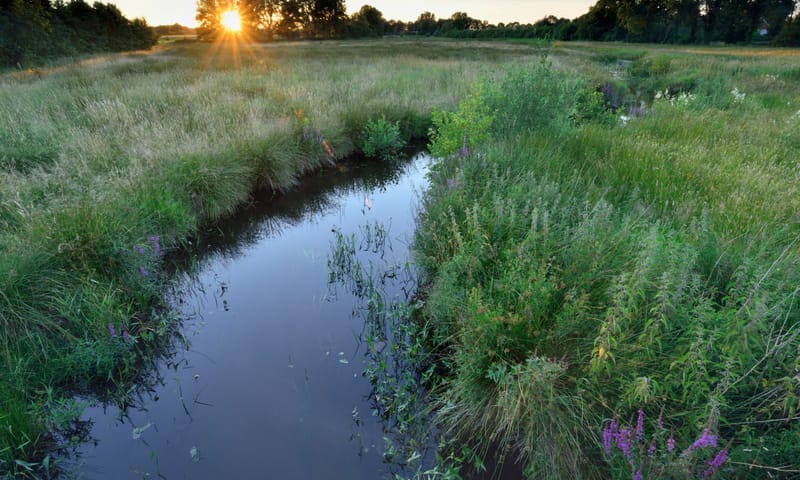 Dal van de RUiten Aa