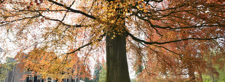 Boekesteyn Boekesteyn