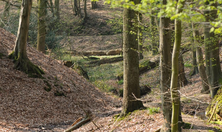 Sint-Jansberg Sint-Jansberg