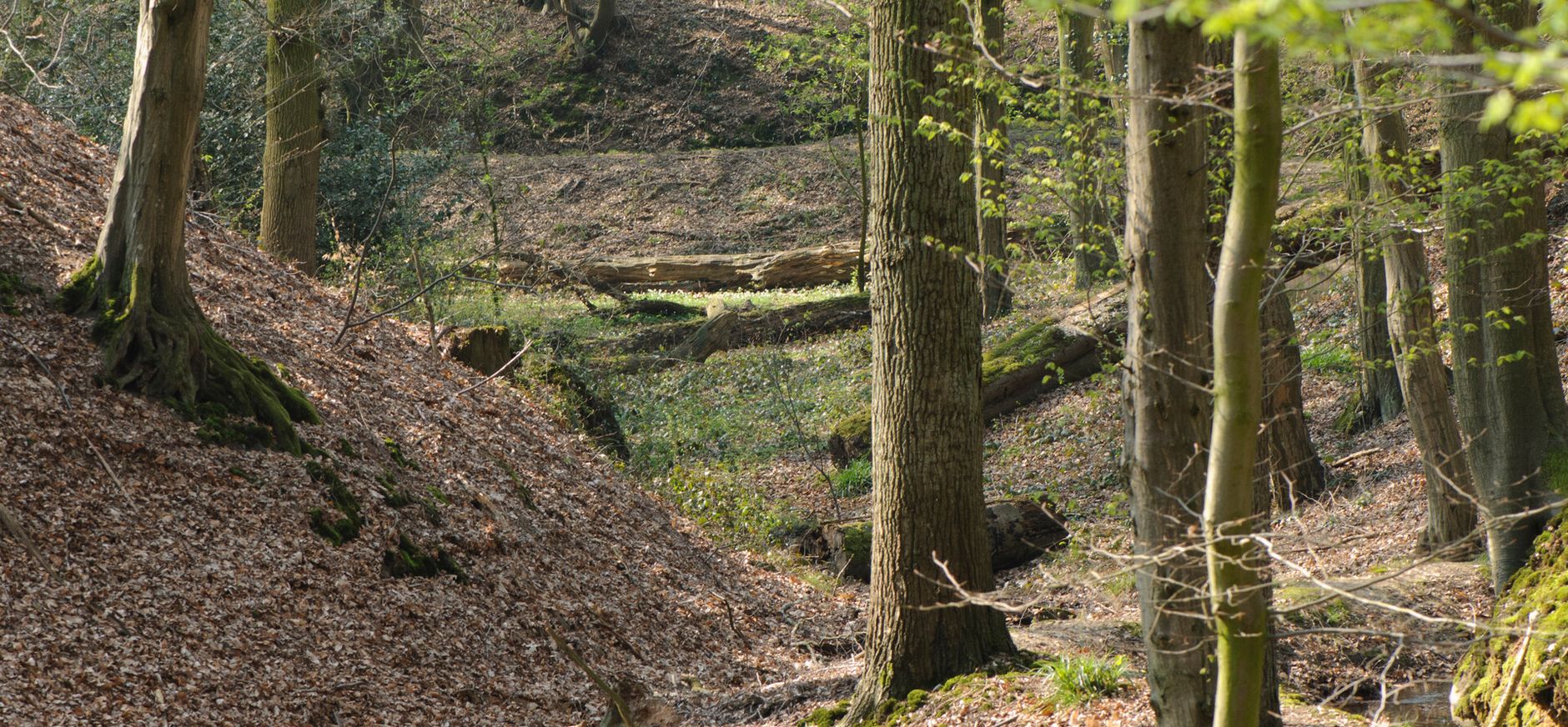 Sint-Jansberg Sint-Jansberg
