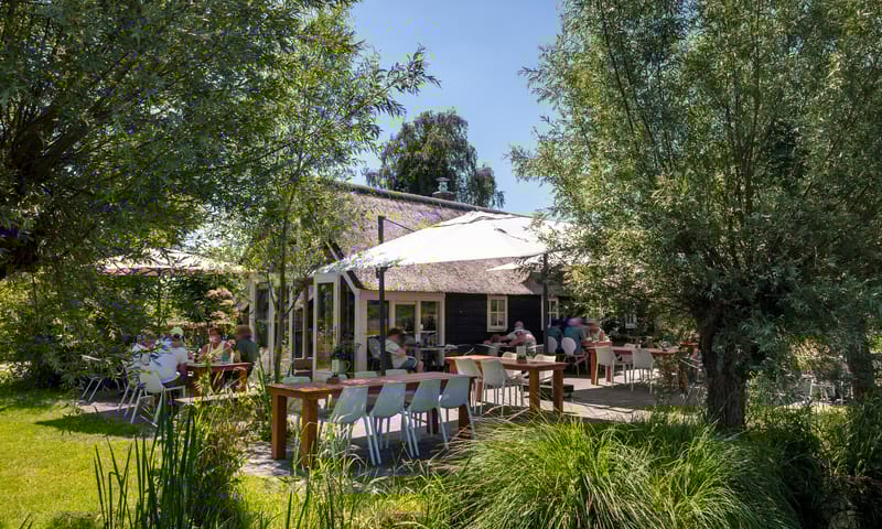 Gebouw met terras tussen de bomen en wat struiken