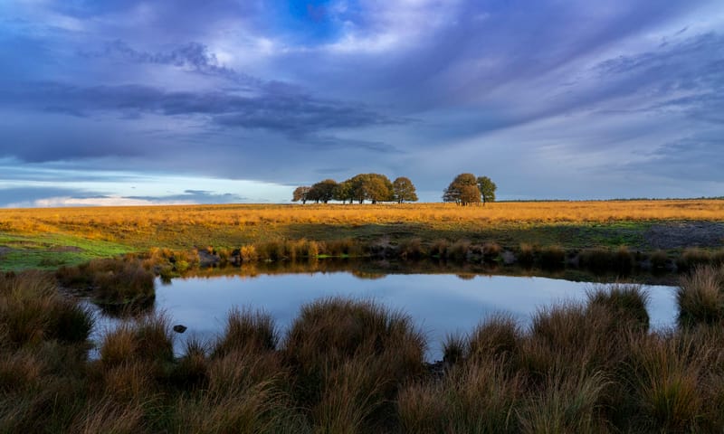 Terletse Heide