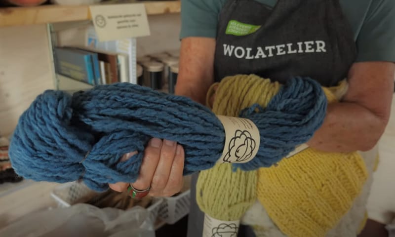 Wol Belevenisboerderij Schieveen