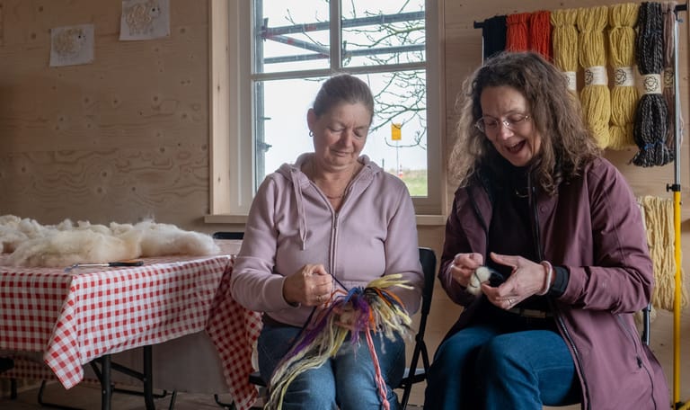 Wolwerkplaats Belevenisboerderij Schieveen Wolwerkplaats Belevenisboerderij Schieveen