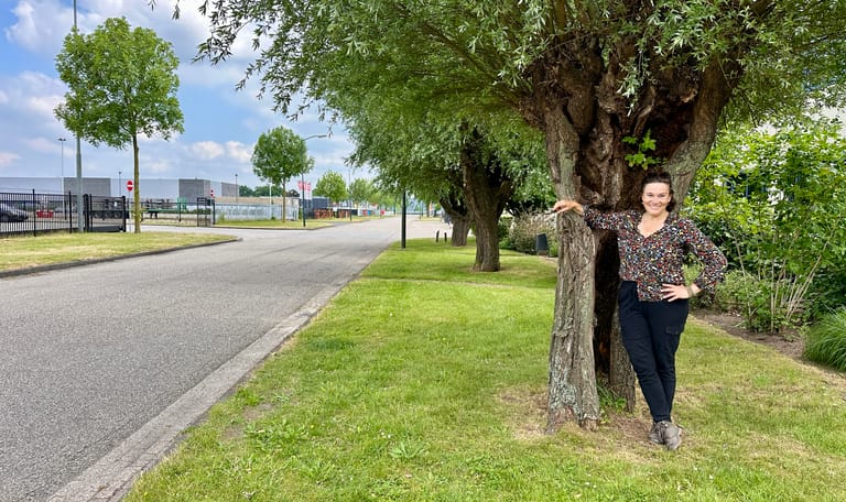 Dame die tegen een wilg leunt, langs een weg