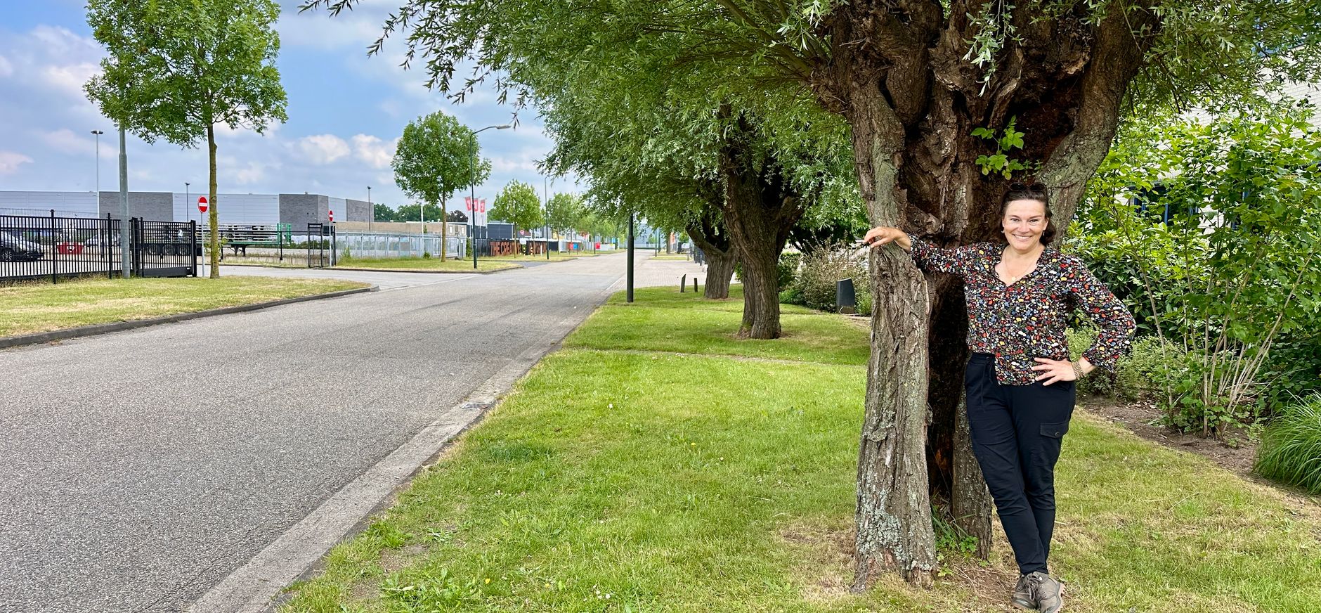 Dame die tegen een wilg leunt, langs een weg