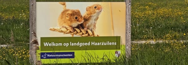 Bord landgoed Haarzuilens