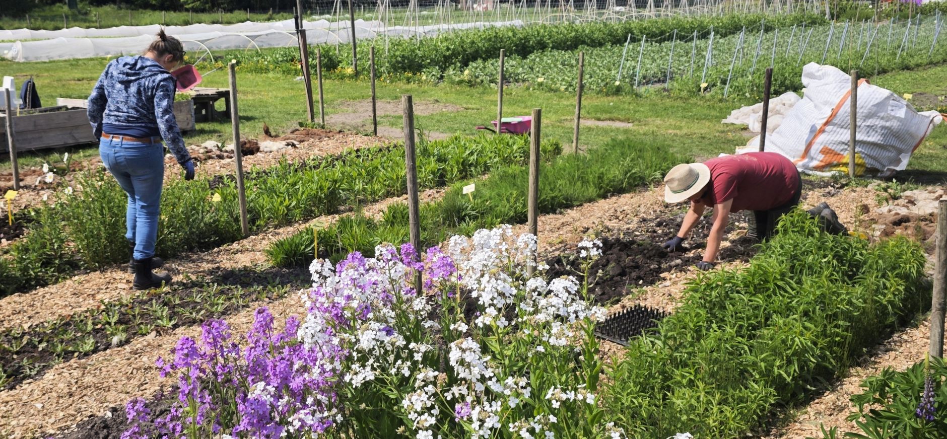 Tuiniers in Moestuin de Haar
