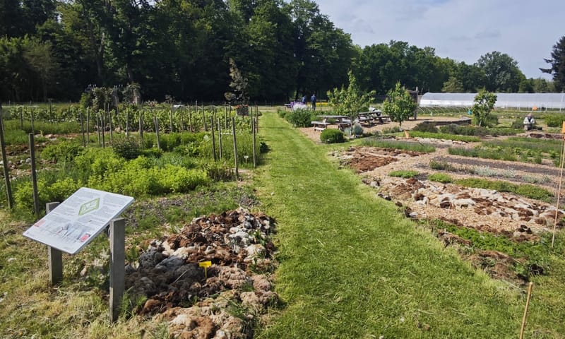 Moestuin de Haar