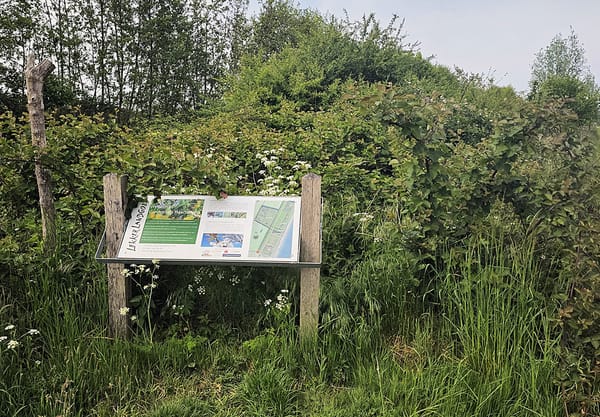 Voedselbos Haarzuilens