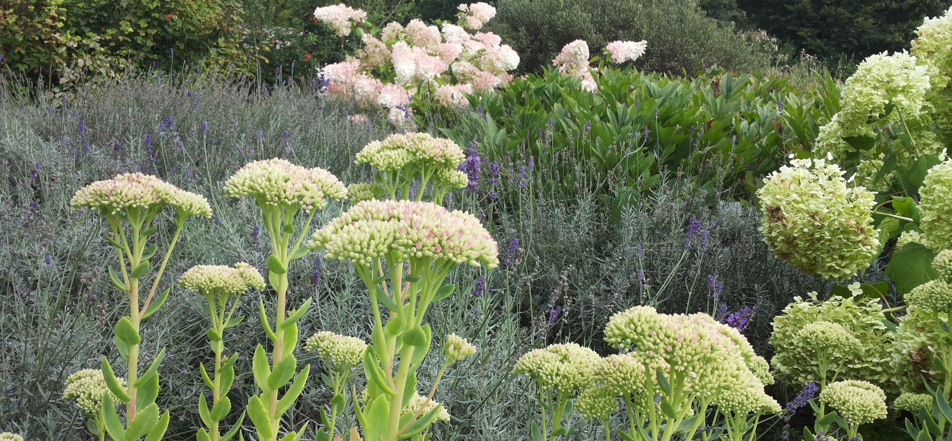 tuin bezoekerscentrum Tuin bezoekerscentrum