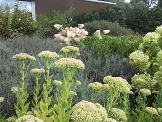 Tuin bezoekerscentrum
