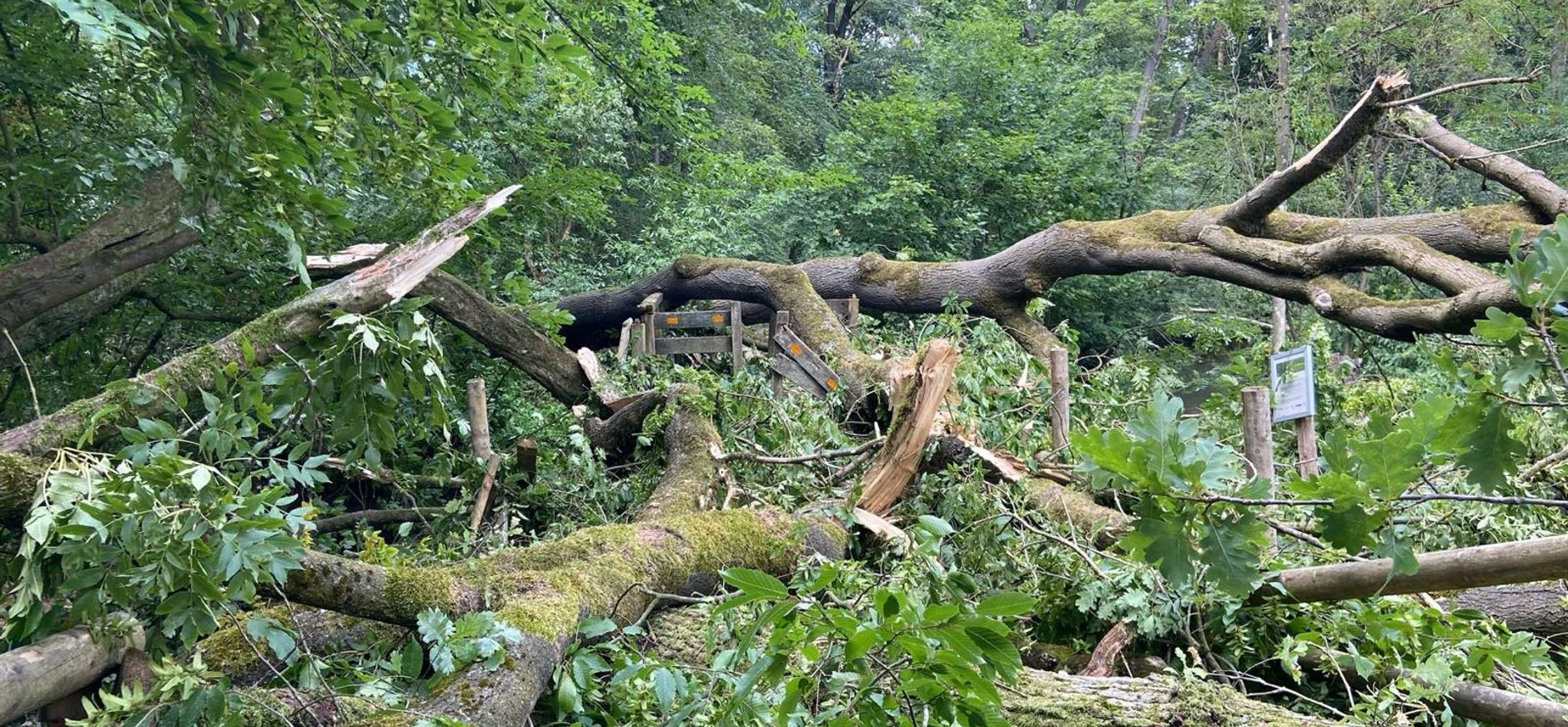 Veel opruimwerkzaamheden na het noodweer in Winterswijk van 2 juli Veel opruimwerkzaamheden na het noodweer in Winterswijk van 2 juli
