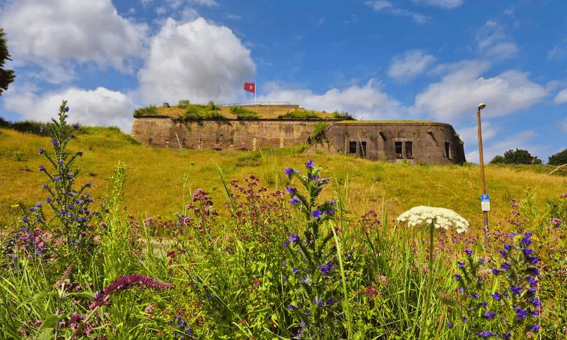 Fort Sint Pieter in Maastricht met grashelling en bloemetjes op de voorgrond Fort Sint Pieter in Maastricht met grashelling en bloemetjes op de voorgrond