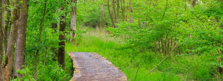 Avonturenroute Harderbos