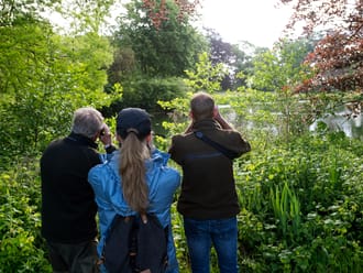 Vogels spotten op landgoed Haarzuilens