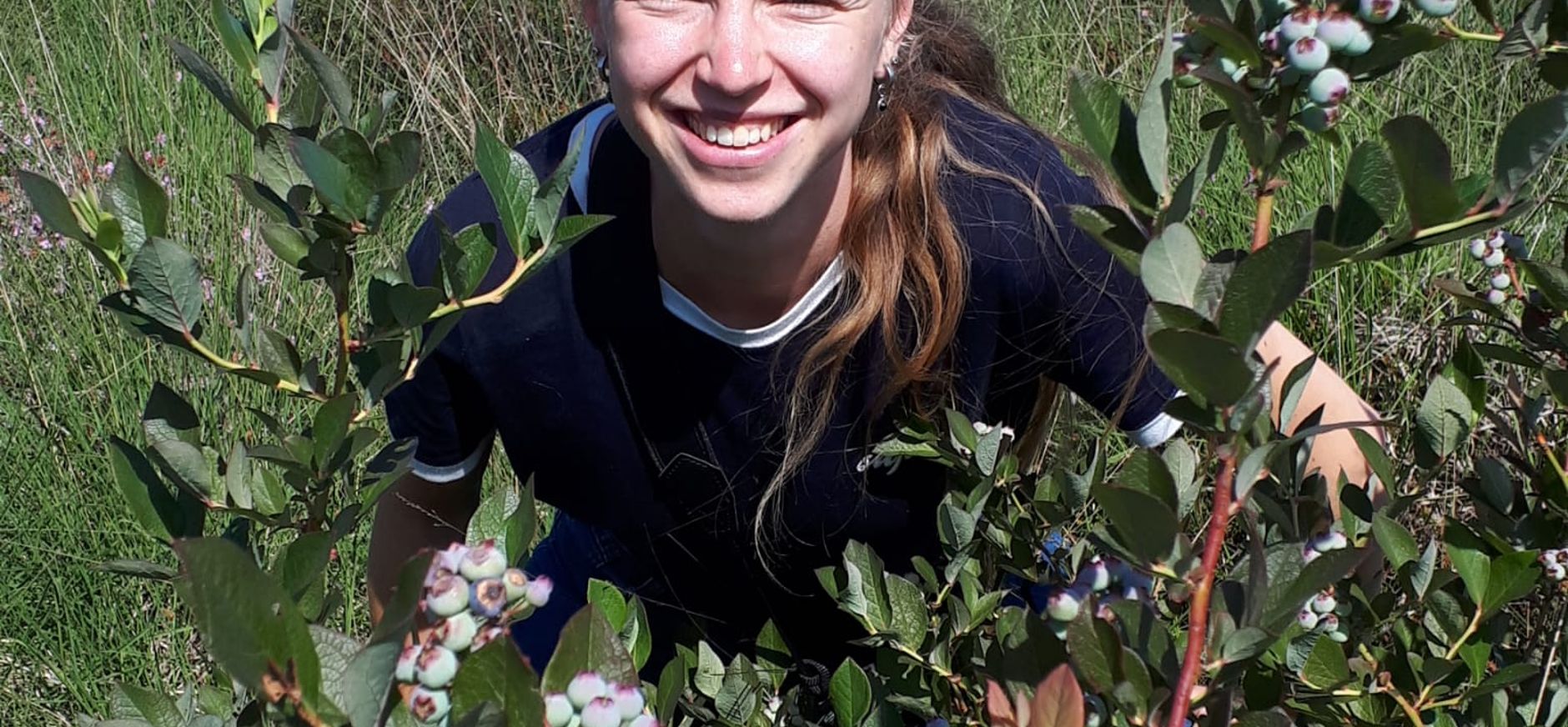 Marijke bij de trosbosbes Marijke Pit bij de trosbosbes