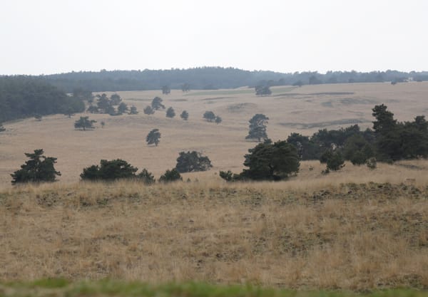 Observatiehut de Elsberg