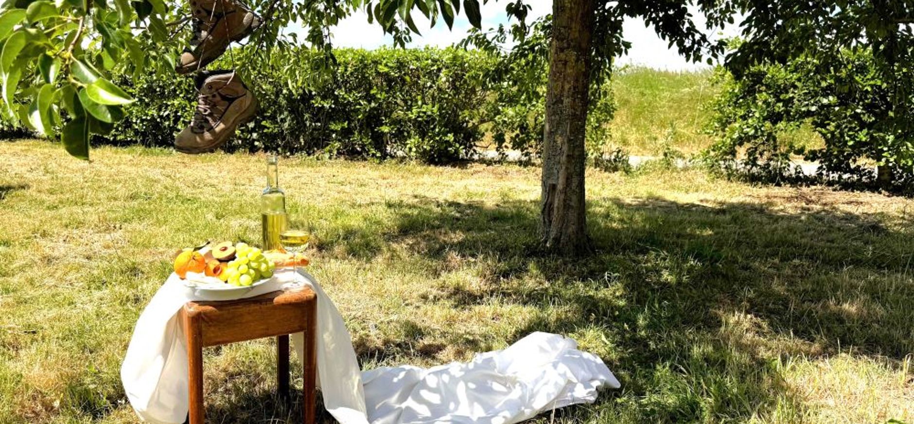 wandel diner wandel diner