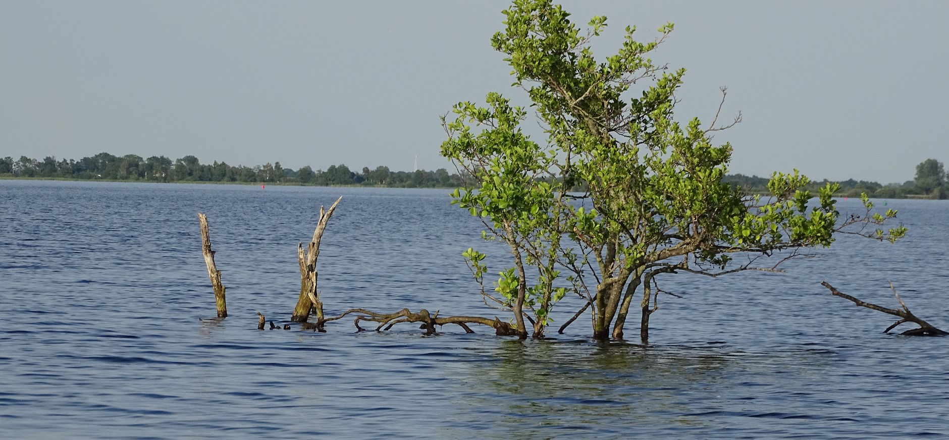 Aanbrengen van nieuwe beschoeiing