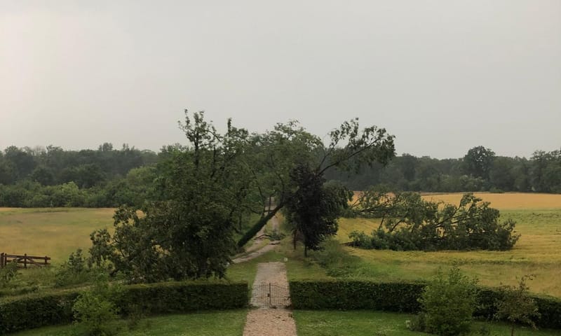Vele wegen en opritten zijn gesperd; genoeg werk te doen