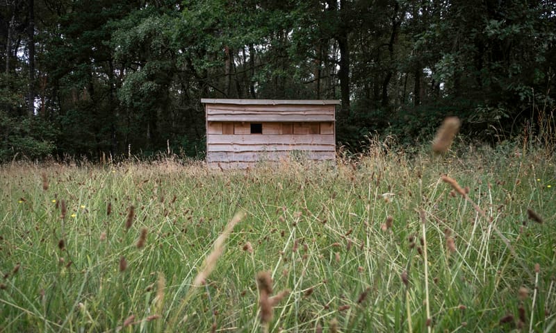 Fotografiehut Buurserzand