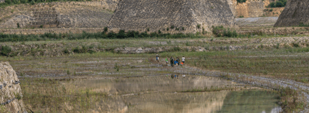 Gezinnen met kinderen wandelen met een gids tijdens excursie door de ENCI-groeve op de Sint-Pietersberg in Maastricht. Je ziet hoe groot de groeve is en hoe klein de mensen zijn. Op de foto zie je kalksteenwanden, waterpartijen, groene begroeiing en een klein beetje lucht.