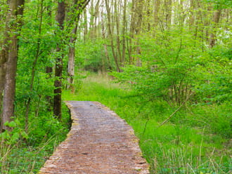 Avonturenroute Harderbos