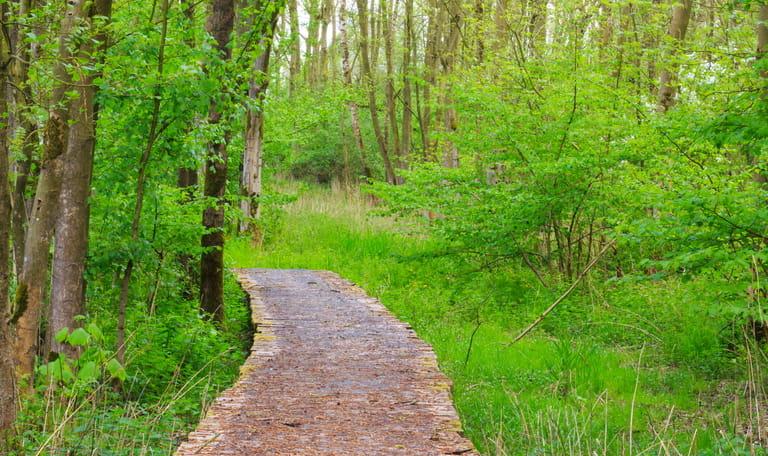 Avonturenroute Harderbos
