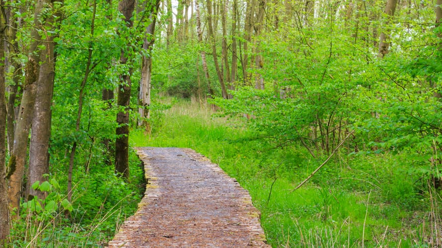 Avonturenroute Harderbos