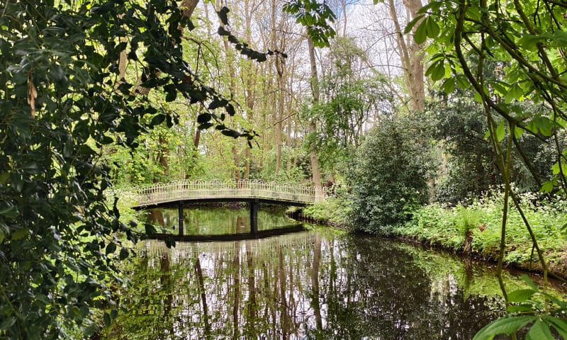 Buitenplaats De Tempel doorkijkjes