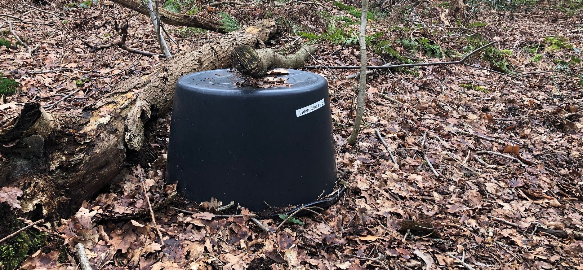 Lycklamabos prunusbestrijding