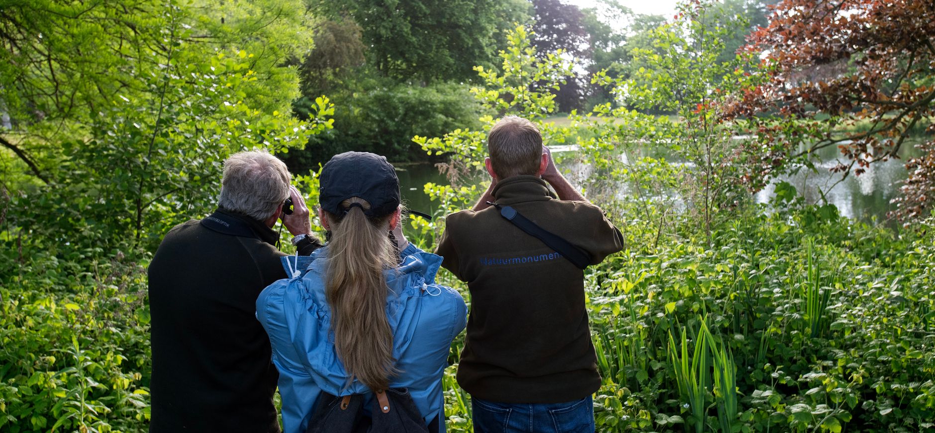 Vogels spotten op landgoed Haarzuilens