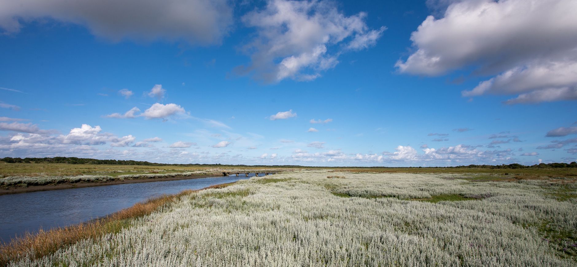 Kwelder Schiermonnikoog