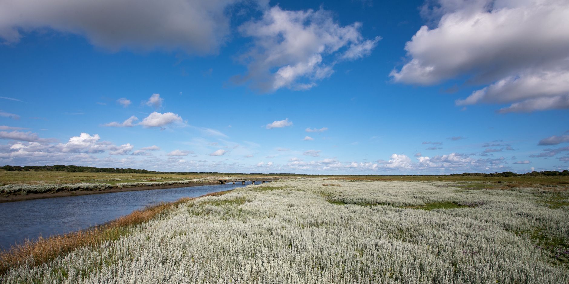 Kwelder Schiermonnikoog