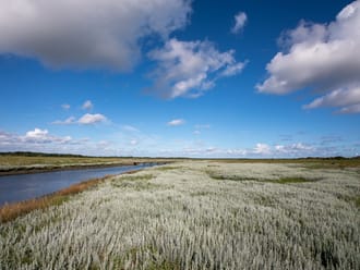 Kwelder Schiermonnikoog