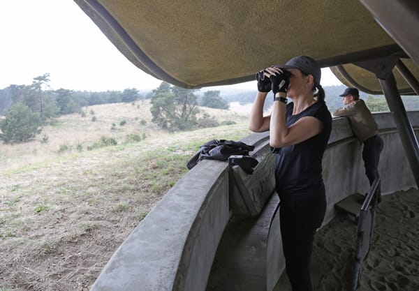 Observatiehut De Elsberg