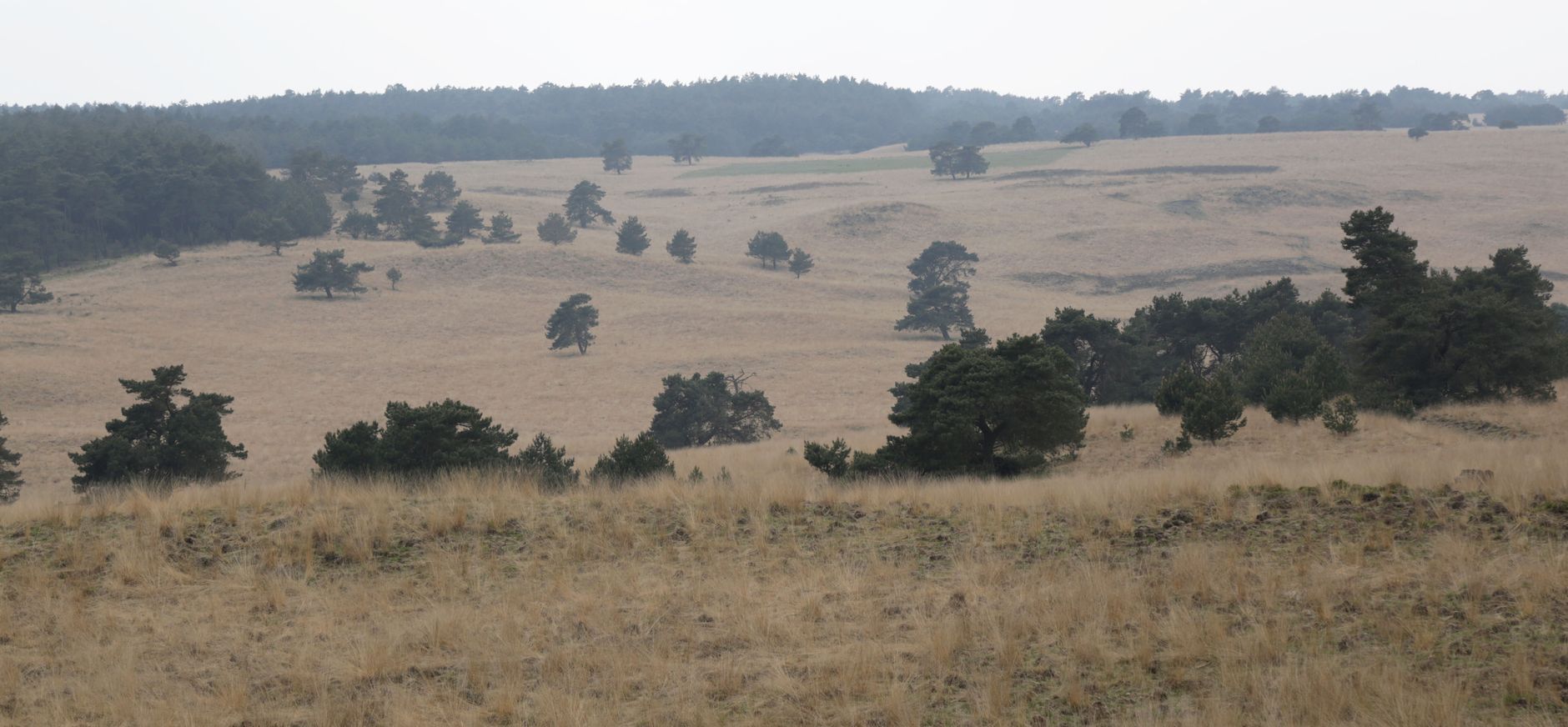Observatiehut de Elsberg uitzicht