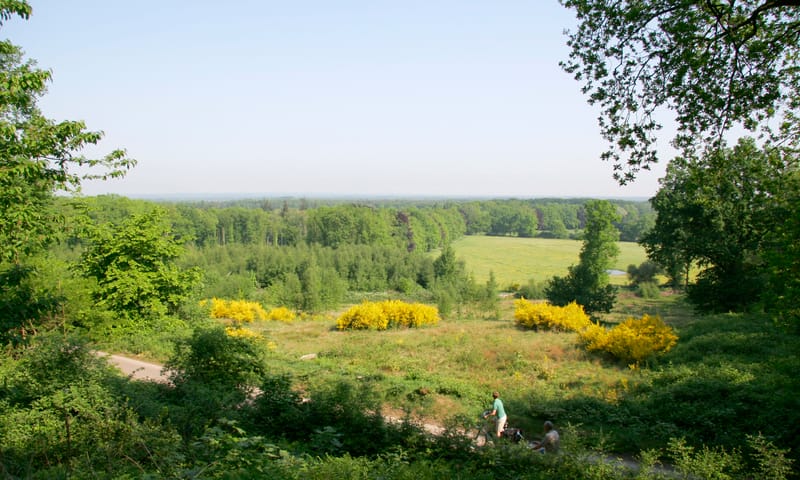Tankenberg koepel uitzicht Tankenberg koepel uitzicht