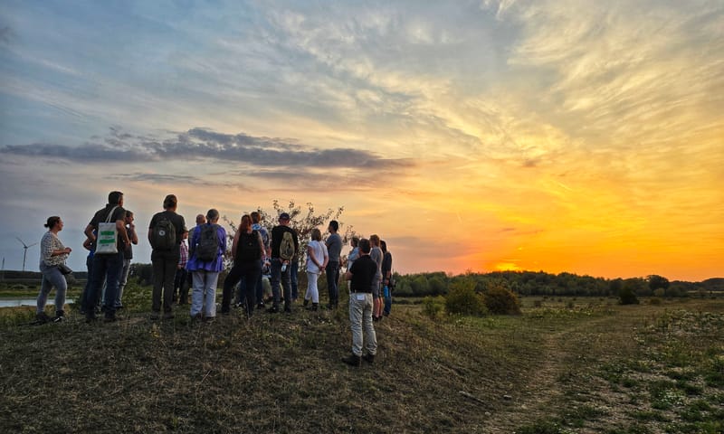 Op safari met bewoners: kennismaking met grote grazers