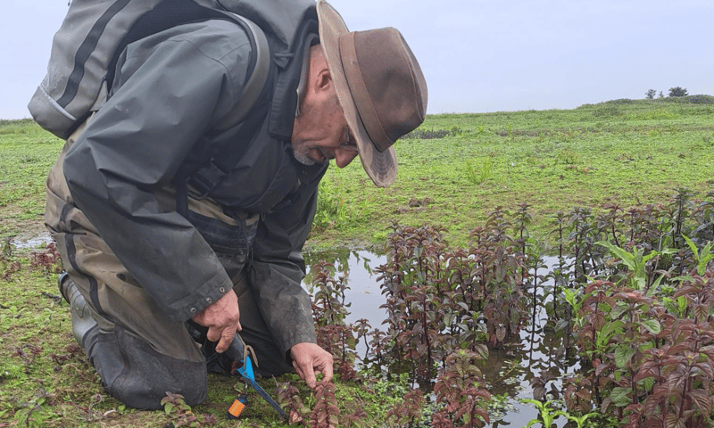 vrijwilliger waterteunisteam