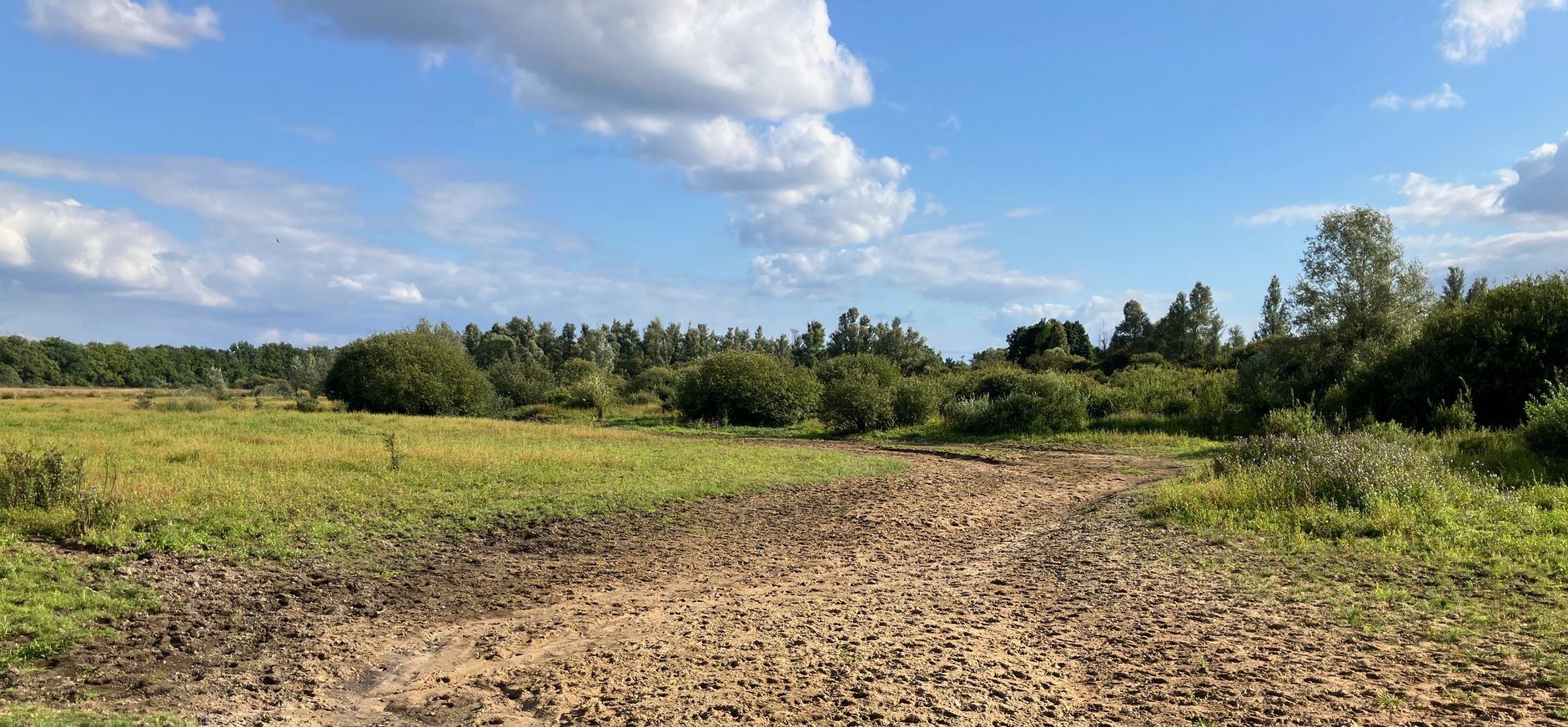 Drooggevallen Beerze bij de Logtsebaan Drooggevallen Beerze bij de Logtsebaan
