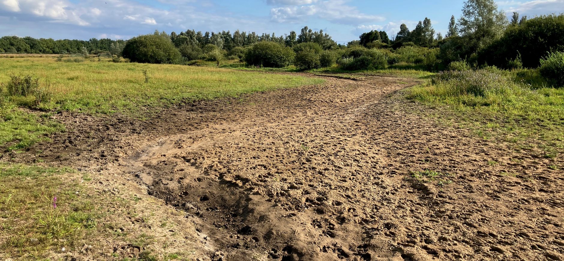 Drooggevallen Beerze