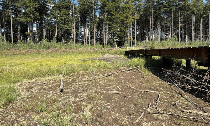 Voorbeeld van de snelle afwatering op De Slotplaats: de Kleine slenk staat half augustus volledig droog.