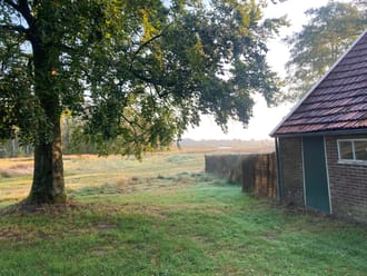 Huisje Flik Dwingelderveld